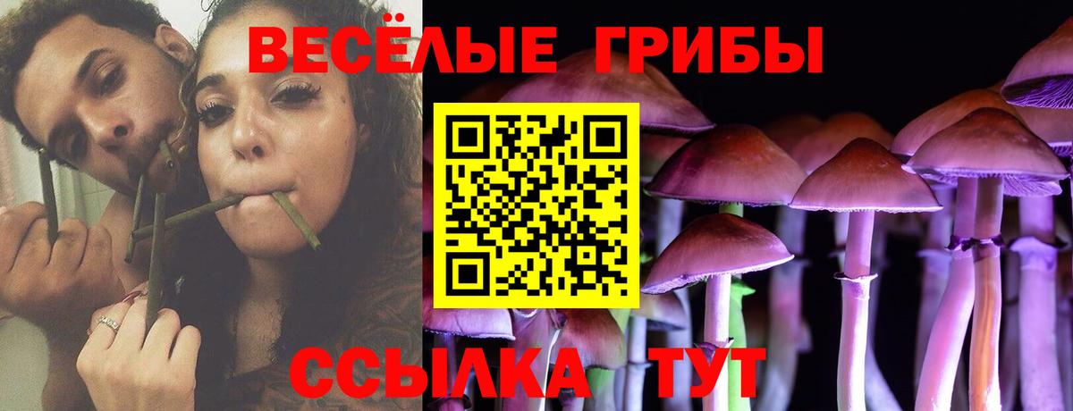 Псилоцибиновые грибы Cubensis  Галлюциногенные грибы мицелий  Вход с VPN  Ейск 